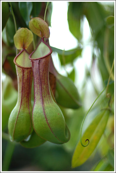 DSC_0229