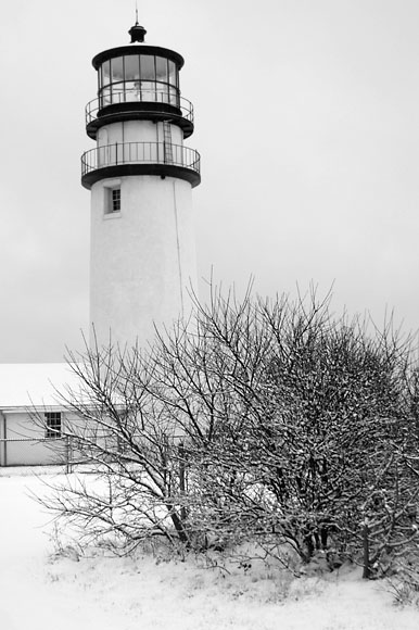 DSC_0434_CapeCod