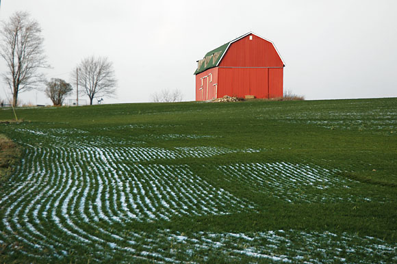DSC_0682_WesternNY