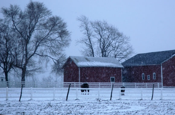 DSC_0691_WesternNY