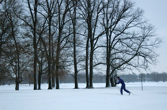 DSC_0789_Buffalo
