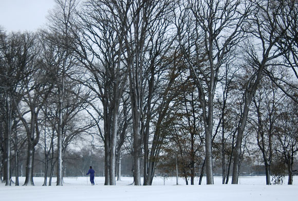 DSC_0791_Buffalo