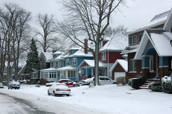 DSC_0845_Buffalo
