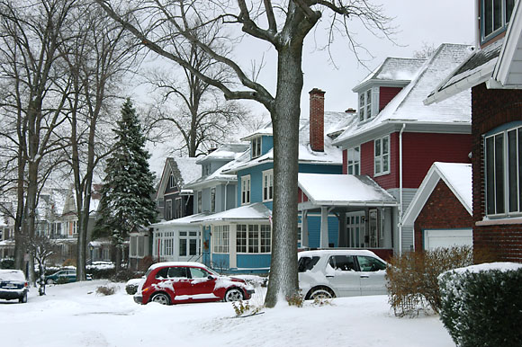 DSC_0846_Buffalo