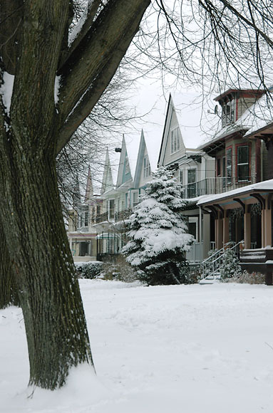 DSC_0864_Buffalo
