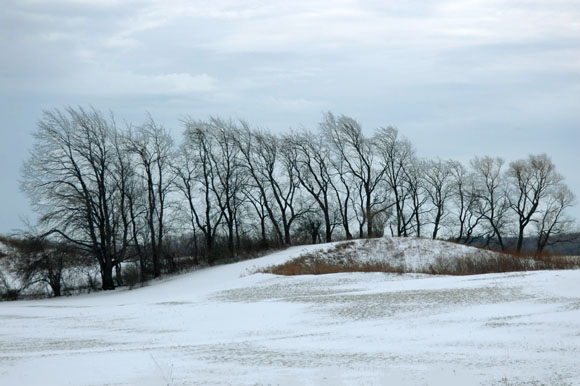 DSC_0912_WesternNY
