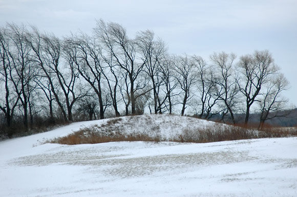 DSC_0913_WesternNY