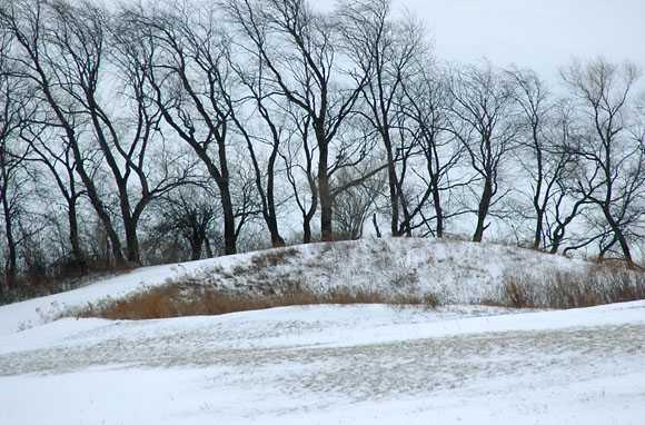 DSC_0917_WesternNY