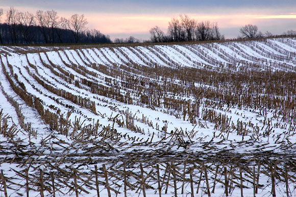 DSC_0923_WesternNY