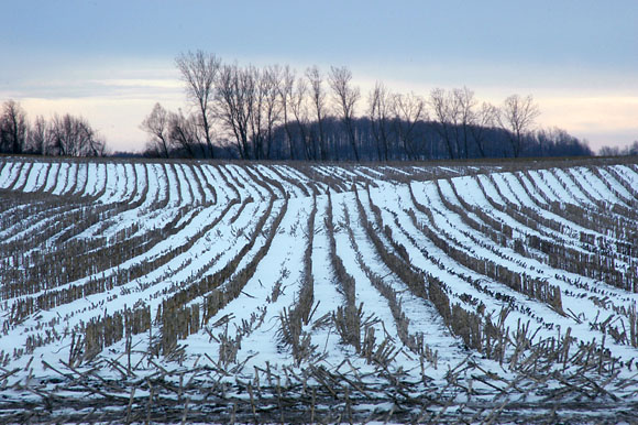 DSC_0925_WesternNY
