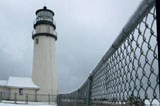 DSC_0435_CapeCod