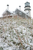 DSC_0440_CapeCod