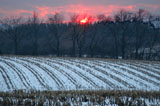 DSC_0575_Ithaca