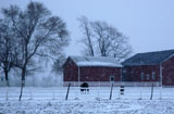 DSC_0691_WesternNY