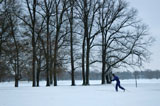 DSC_0789_Buffalo