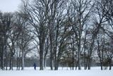 DSC_0791_Buffalo