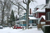 DSC_0846_Buffalo