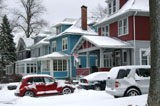 DSC_0847_Buffalo