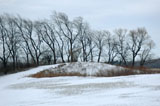 DSC_0913_WesternNY