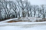 DSC_0917_WesternNY