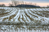 DSC_0922_WesternNY