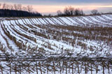 DSC_0923_WesternNY
