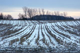 DSC_0925_WesternNY