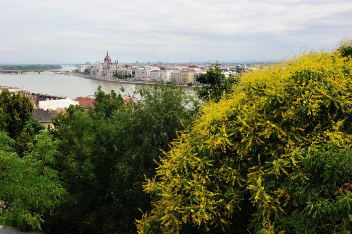 DSC_1828_Budapest