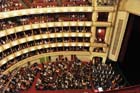 DSC_1537_Vienna