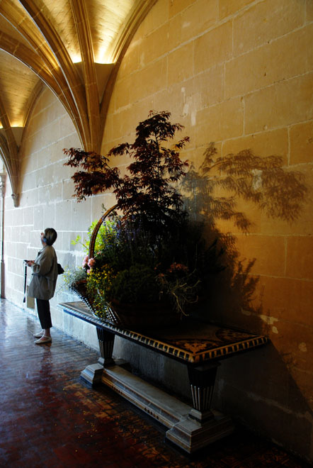 DSC_1839ChateaudeChenonceau