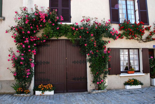 DSC_2177Beaugency