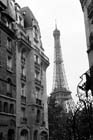 DSC_0284Paris