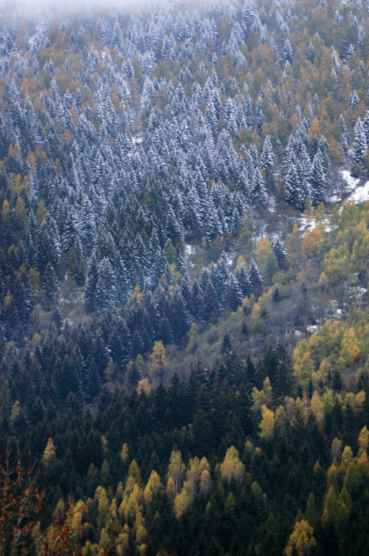 620-MtBlanc