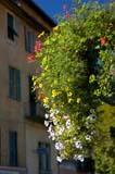 477-Menton