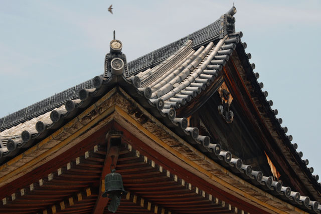 1419_TojiTemple@Kyoto