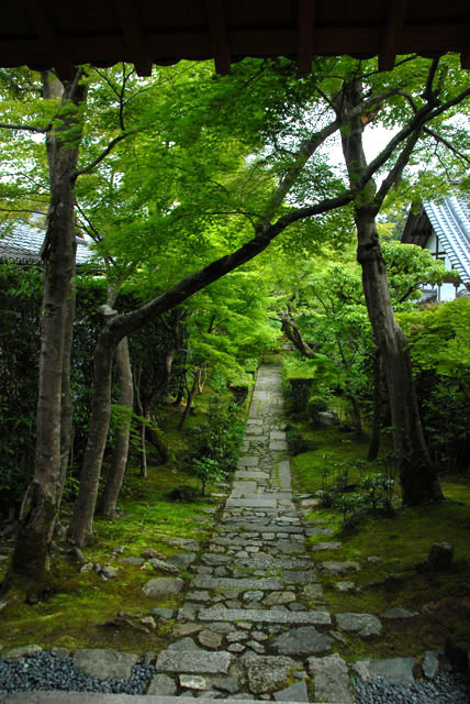 1818_Honen-inTemple@Kyoto