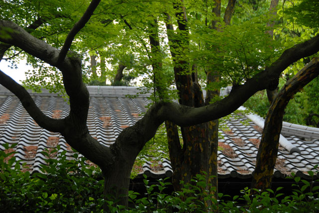 2220_Kyoto