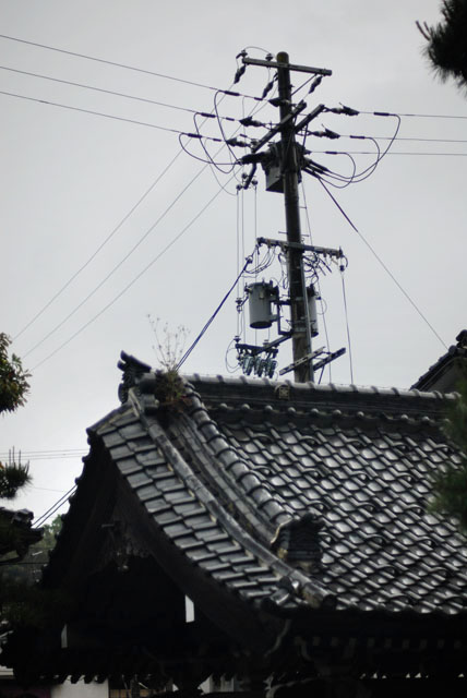2366_Kinosaki