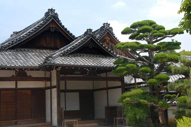 2624_Nara