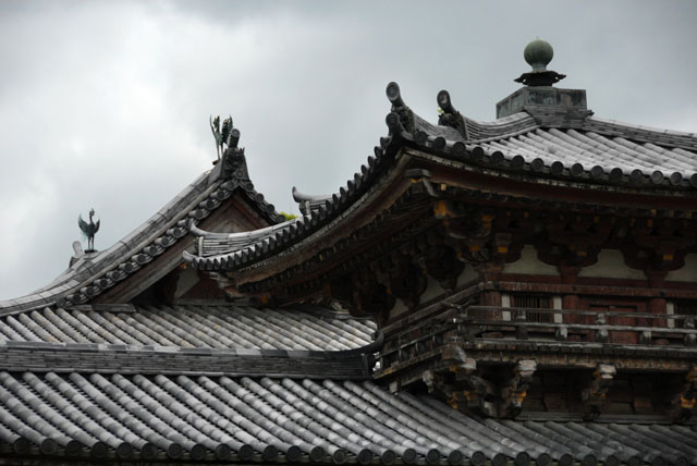 3281_Uji