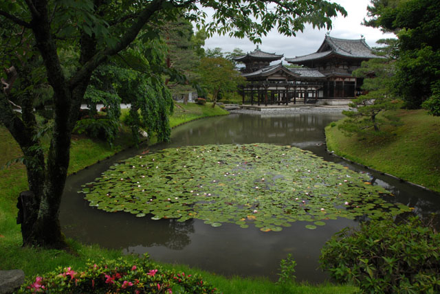 3295_Uji