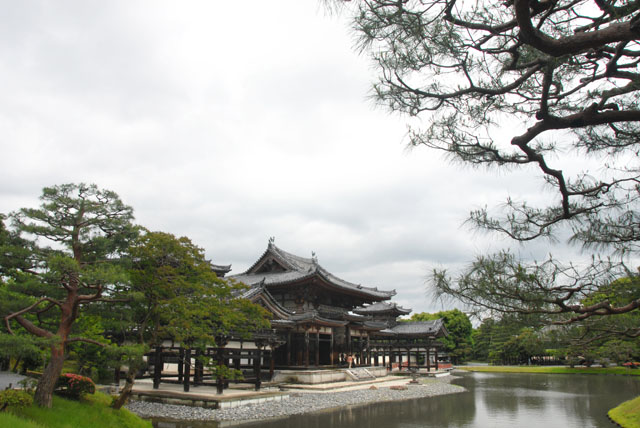 3309_Uji