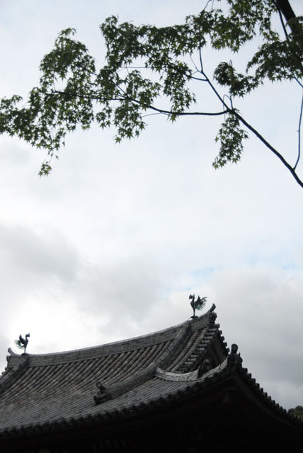 3344_Uji