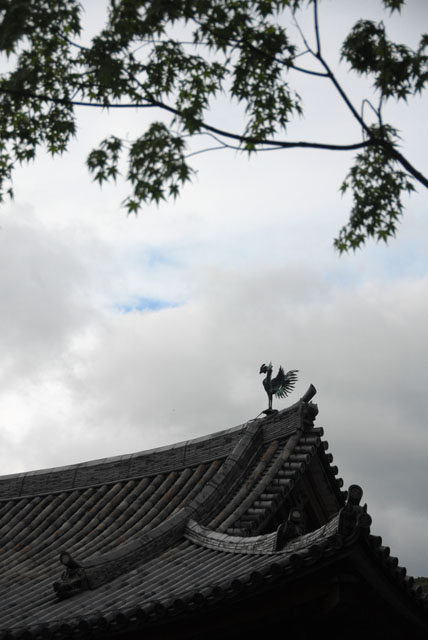 3345_Uji