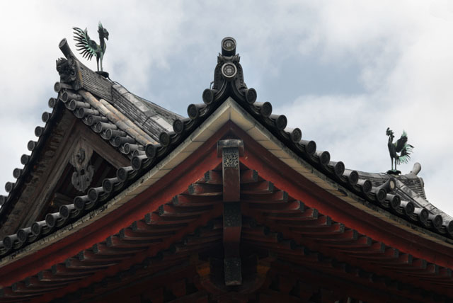 3359_Uji