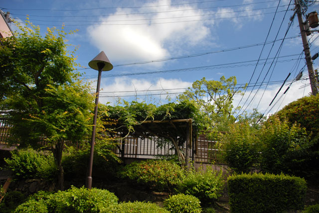 3376_Uji