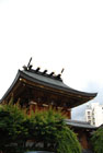 0270_Ueno@Tokyo