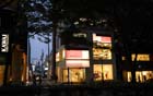 1145_Omotesando@Tokyo