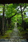 1818_Honen-inTemple@Kyoto