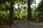 1824_Honen-inTemple@Kyoto